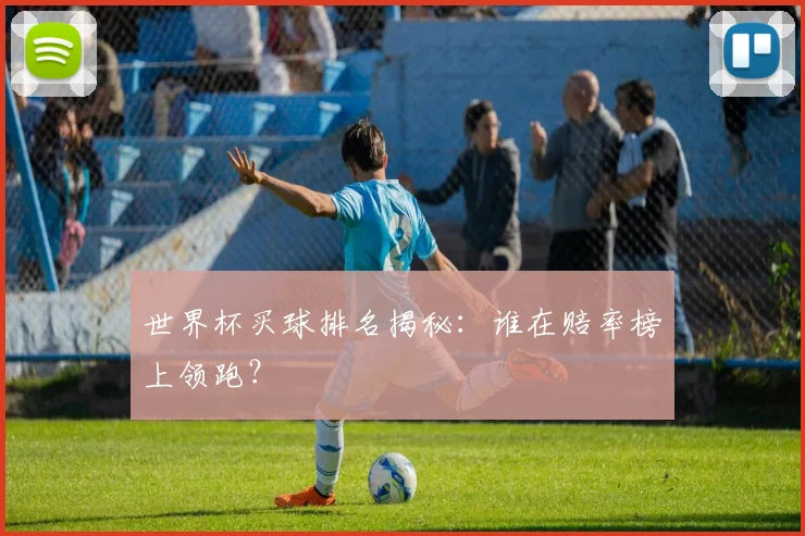 世界杯买球排名揭秘：谁在赔率榜上领跑？