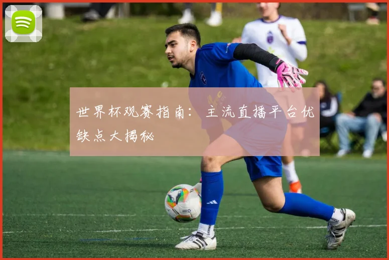 世界杯观赛指南：主流直播平台优缺点大揭秘