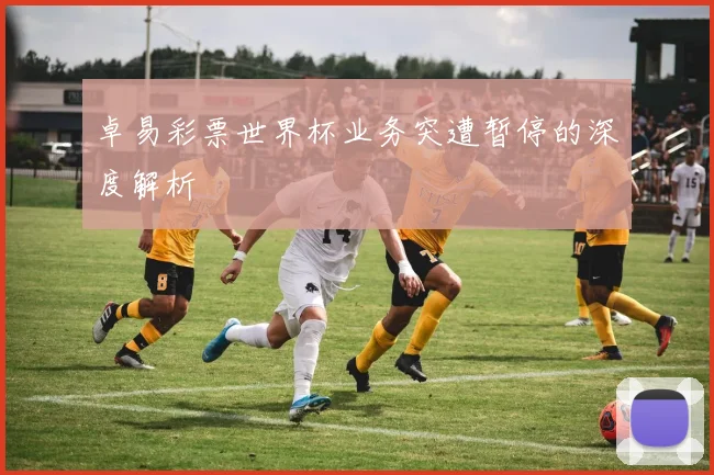 卓易彩票世界杯业务突遭暂停的深度解析