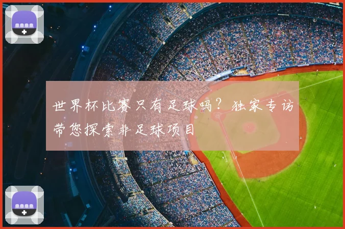 世界杯比赛只有足球吗?独家专访带您探索非足球项目