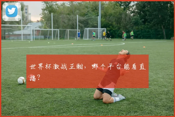 世界杯激战正酣，哪个平台能看直播？