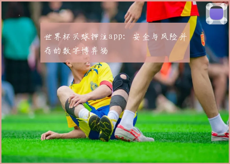 世界杯买球押注app:安全与风险并存的数字博弈场