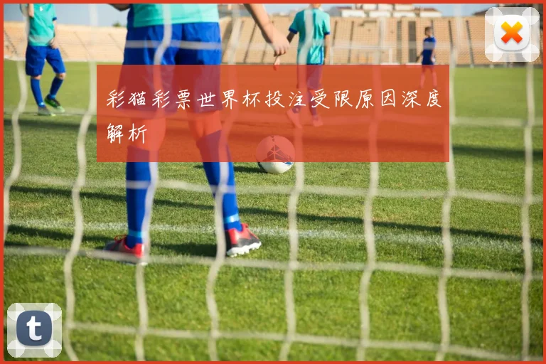 彩猫彩票世界杯投注受限原因深度解析