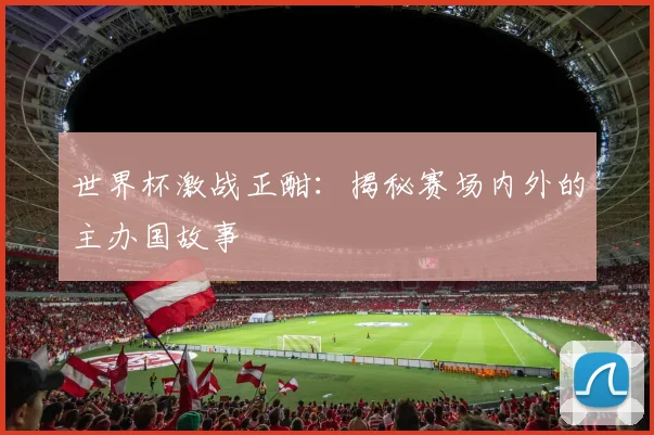 世界杯激战正酣：揭秘赛场内外的主办国故事