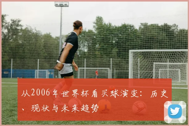 从2006年世界杯看买球演变：历史、现状与未来趋势