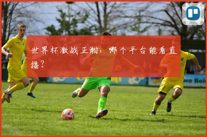 世界杯激战正酣，哪个平台能看直播？