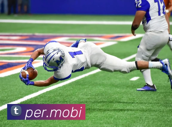奖项证书